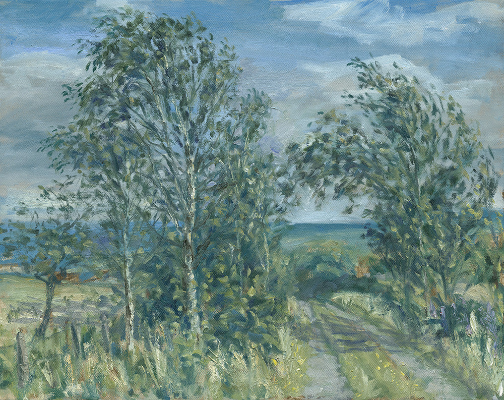 Birch on Lees Lonnen, July. (Print)