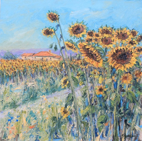 Sunflower Fields in Italy.